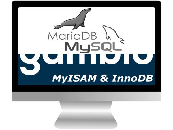 Gambio Datenbank Update MSQL