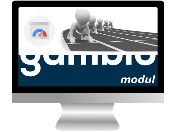 PageSpeed für Gambio Shopsystem