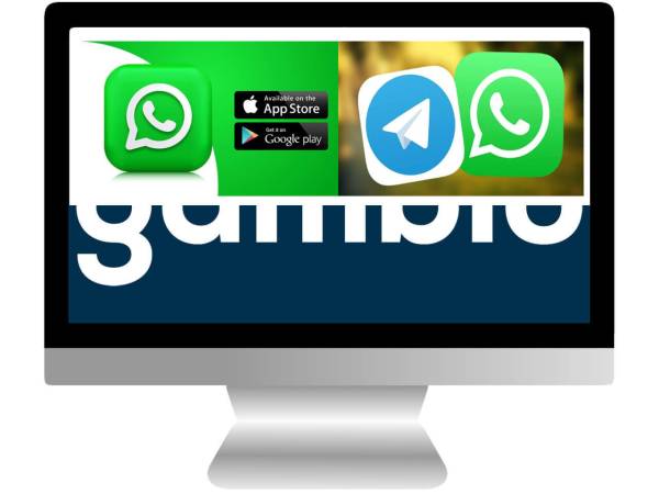 Gambio WhatsApp - Box