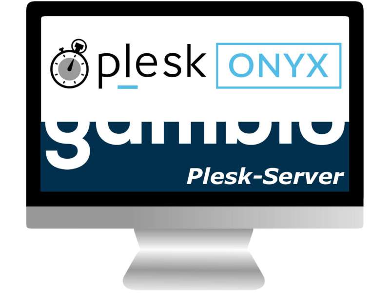 Plesk Server Wartung - nach Zeitaufwand 6/60 Min.