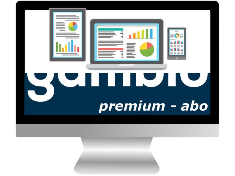 S|E|O | Monatliche Suchmaschinen Optimierung | Premium S|E|O | Monatliche Suchmaschinen Optimierung | Premium